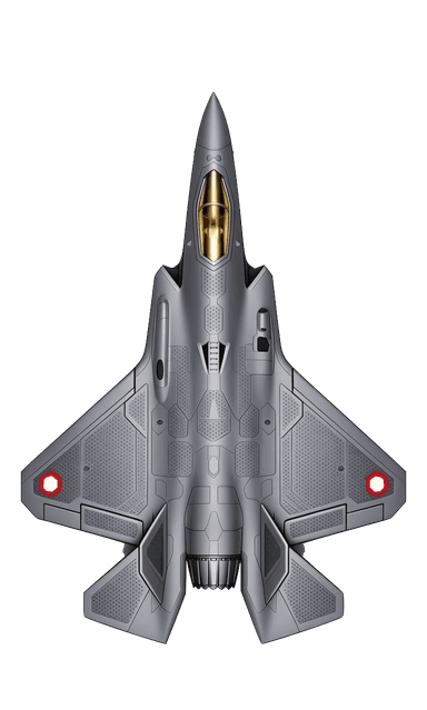 Fly Simulator